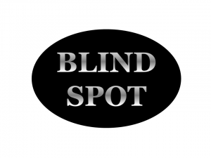 BLIND SPOT